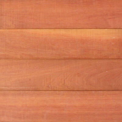 マサラン マサラン